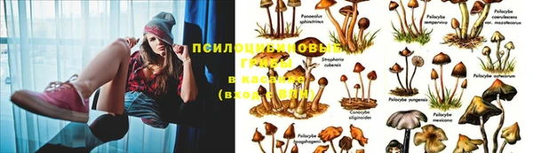 дживик Алексеевка