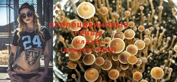 PSILOCYBIN Алексин