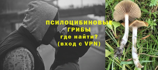 PSILOCYBIN Алексин