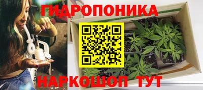 каннабис Пугачёв