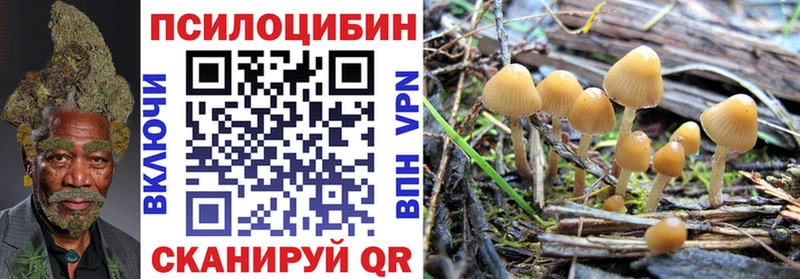 наркошоп  Феодосия  Псилоцибиновые грибы Psilocybine cubensis 