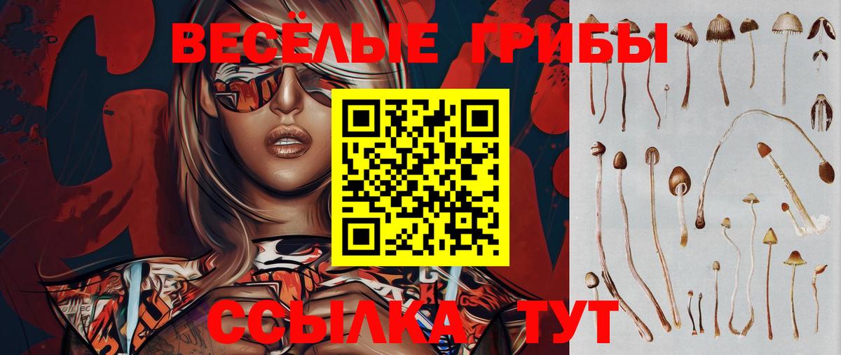 Псилоцибиновые грибы MAGIC MUSHROOMS  наркота  Вход с VPN  Феодосия  Галлюциногенные грибы Psilocybine cubensis 